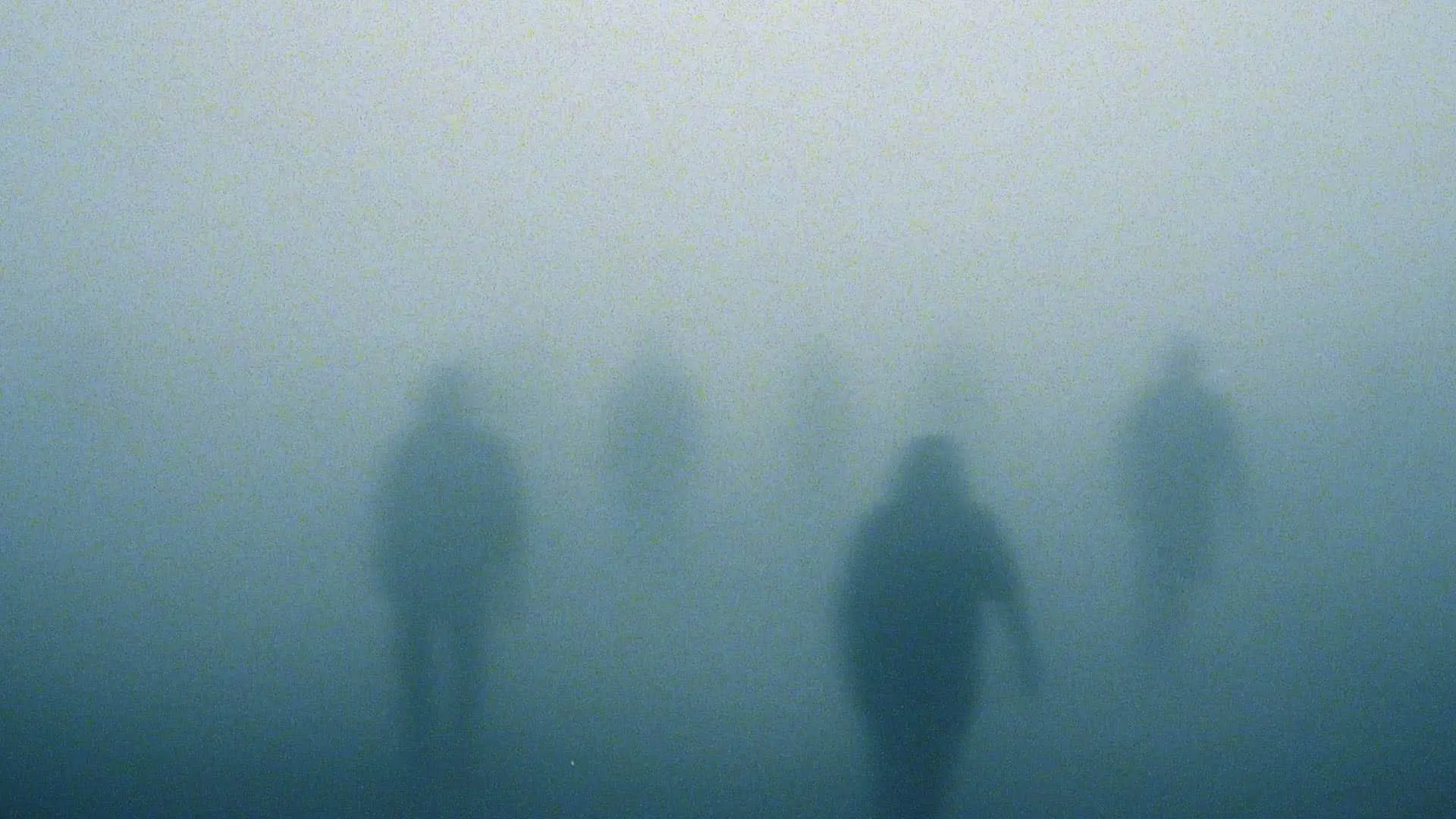 Rever — Después del Ruido · Visualizers, still 5