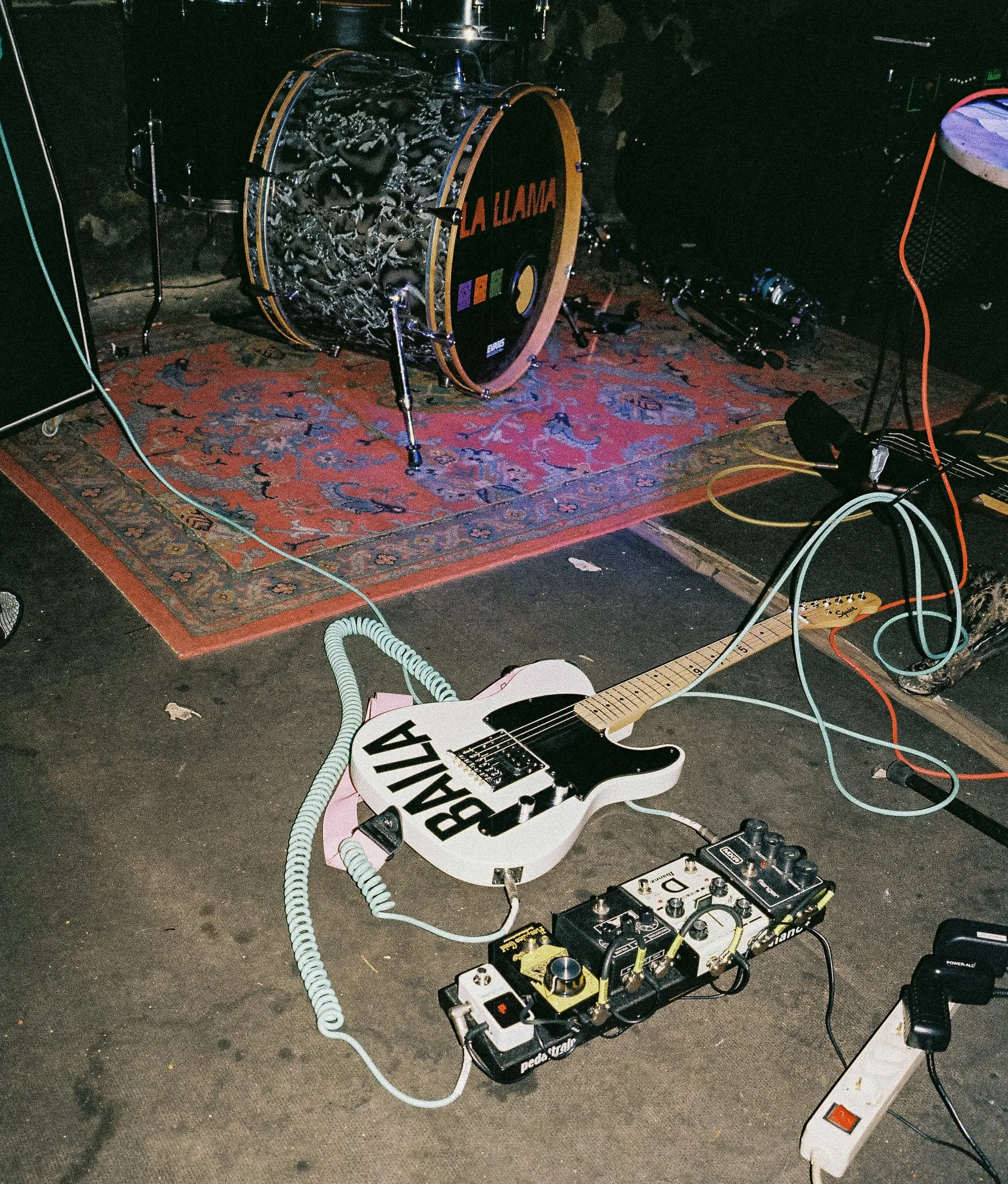 Feral — In Spain, still 19