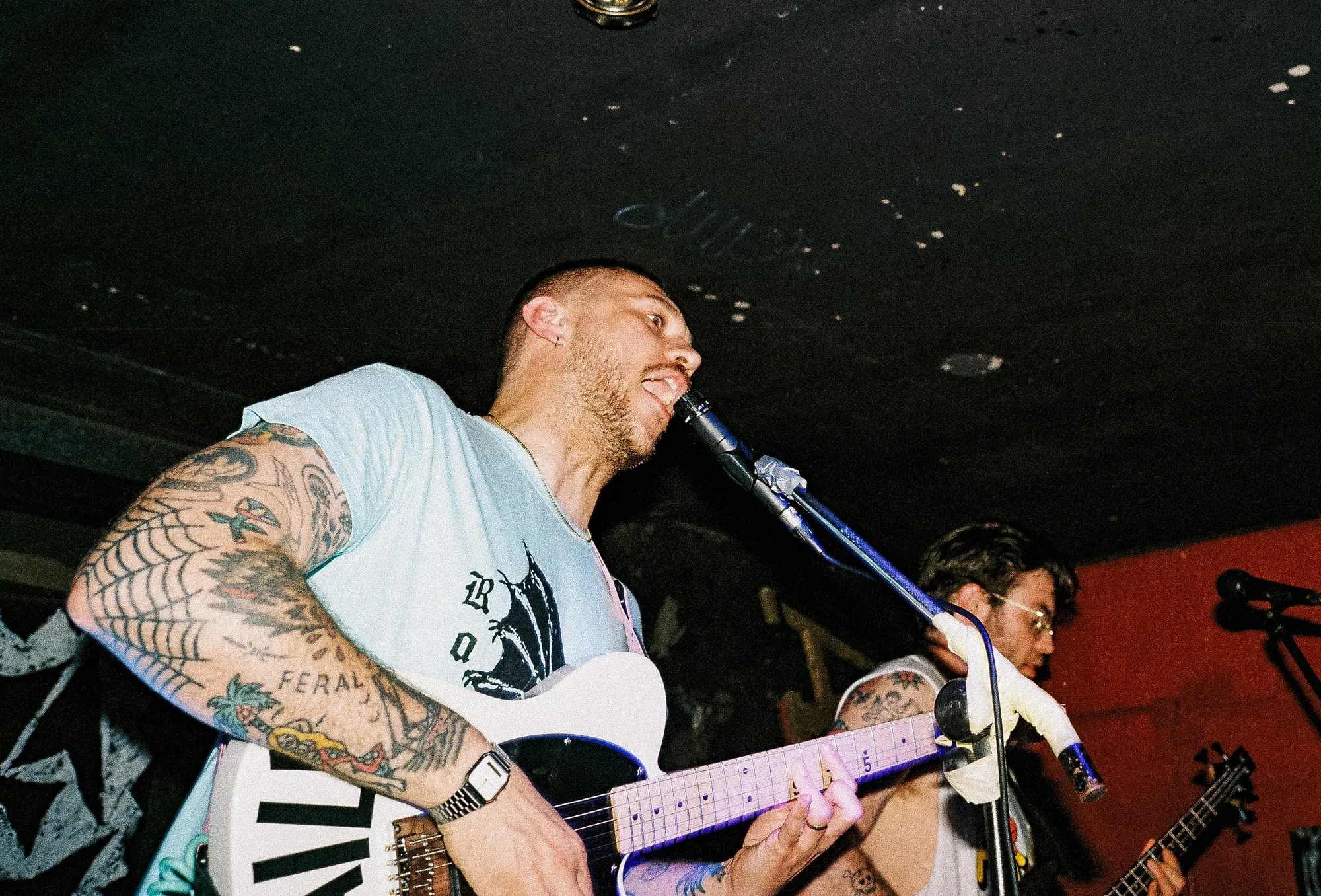Feral — In Spain, still 20