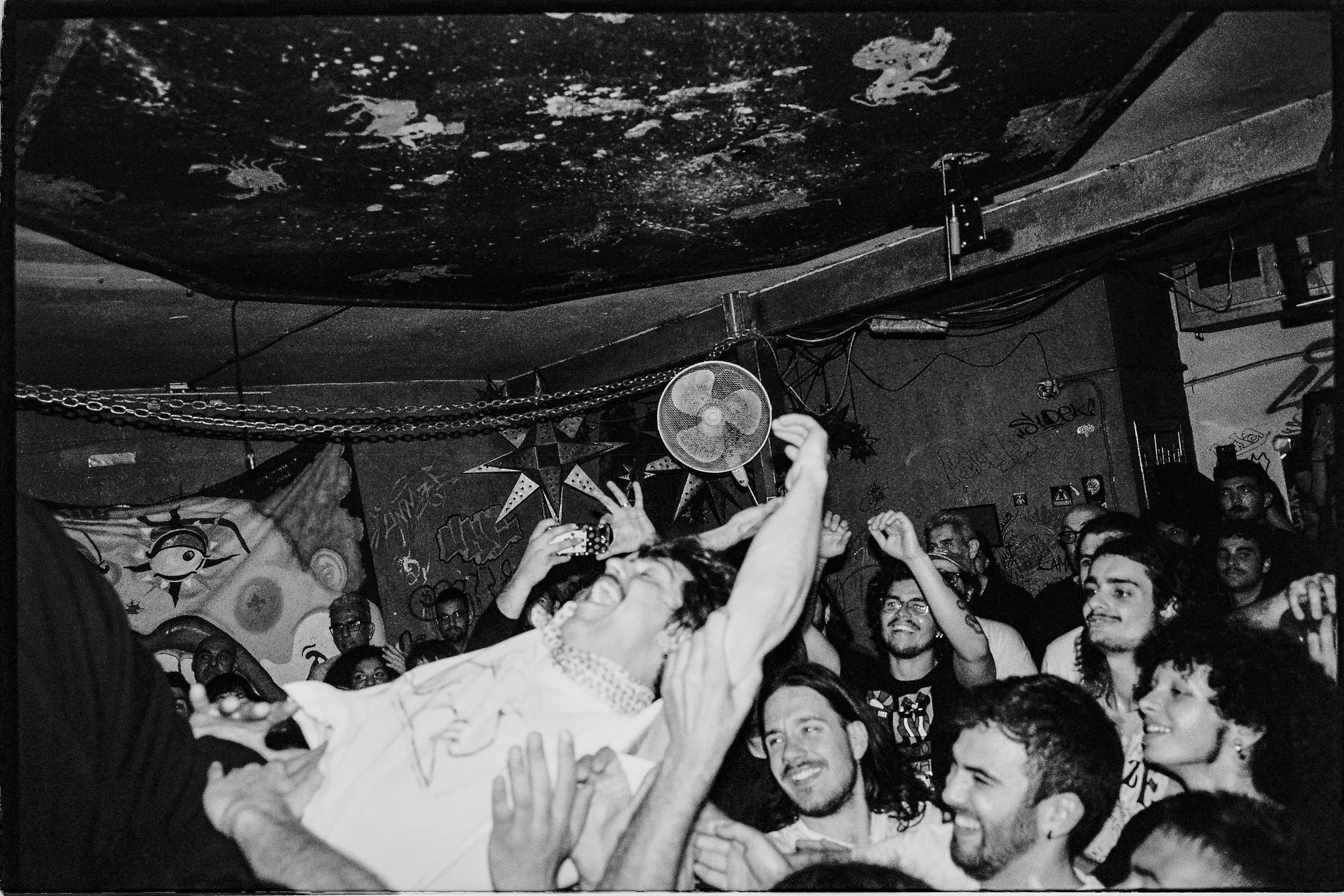 Feral — In Spain, still 24