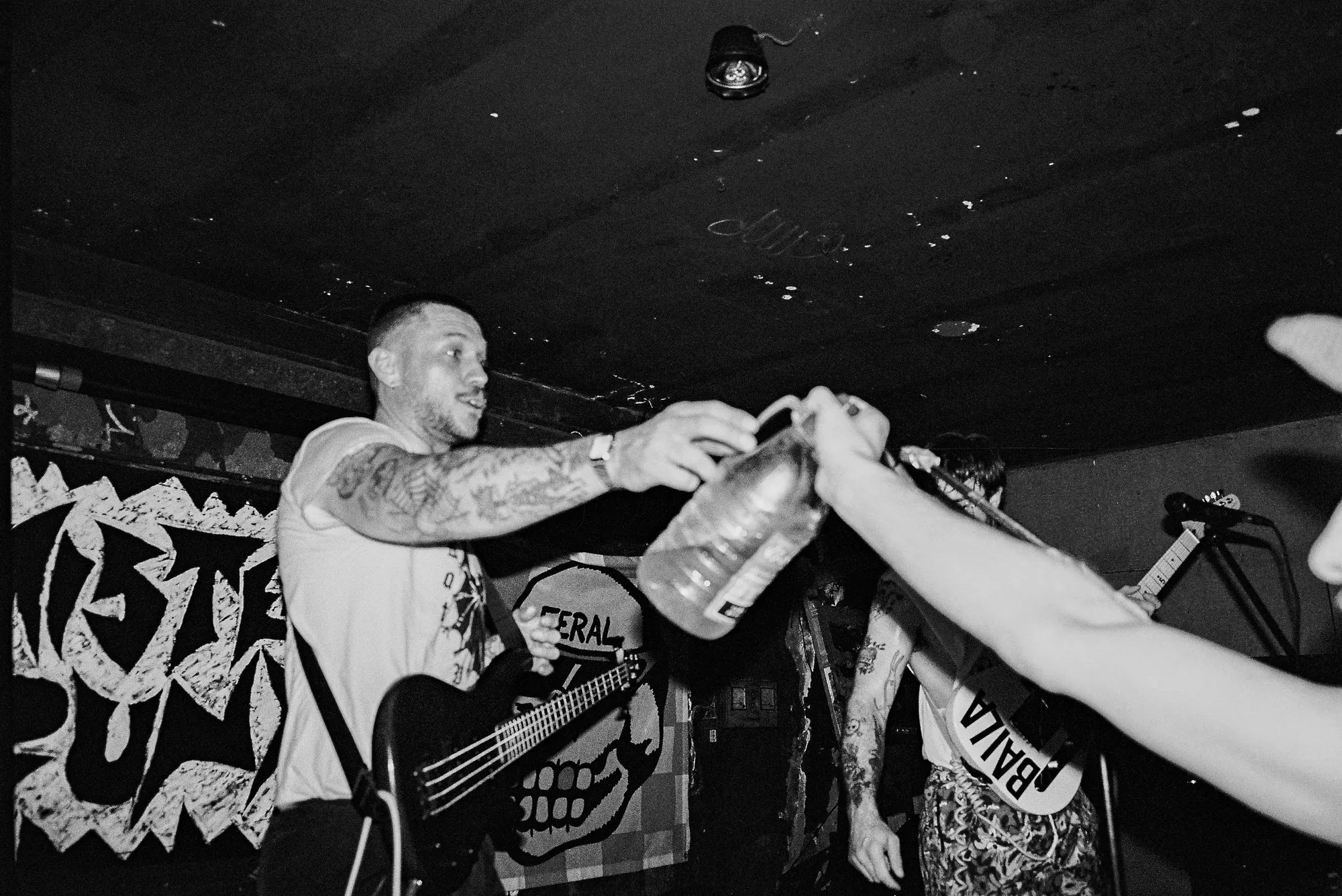 Feral — In Spain, still 28
