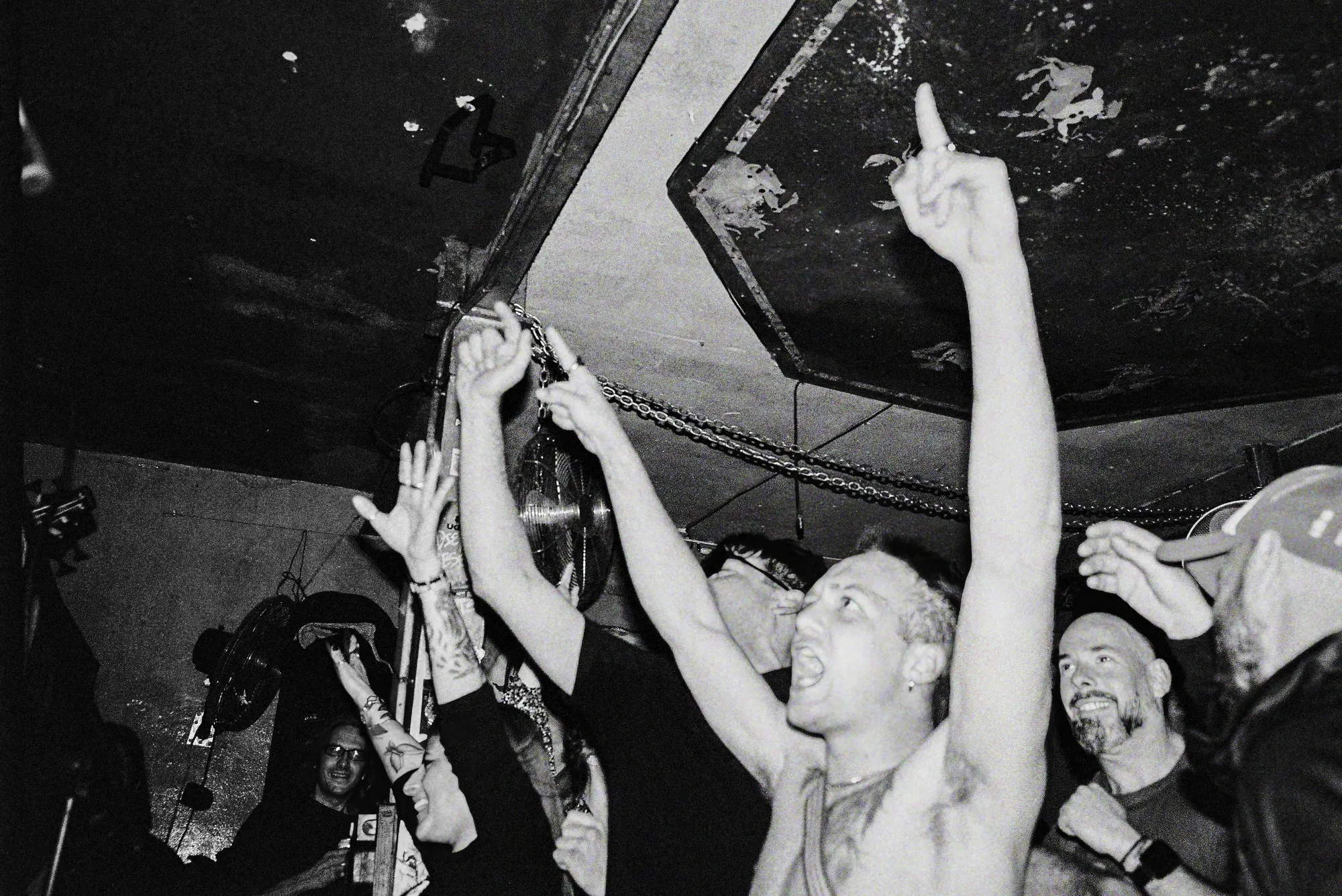 Feral — In Spain, still 29