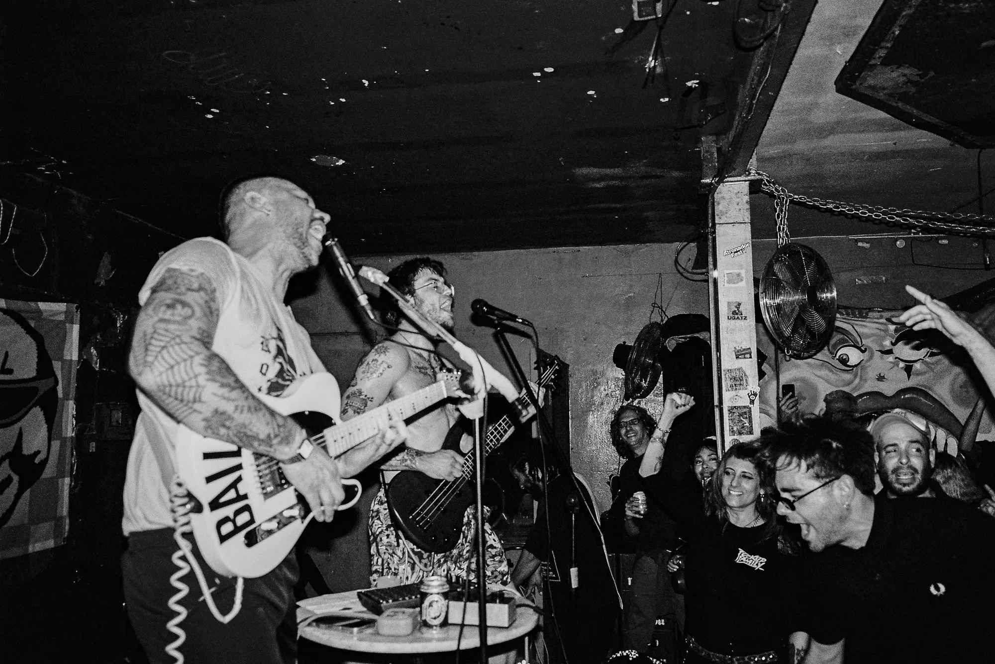 Feral — In Spain, still 30
