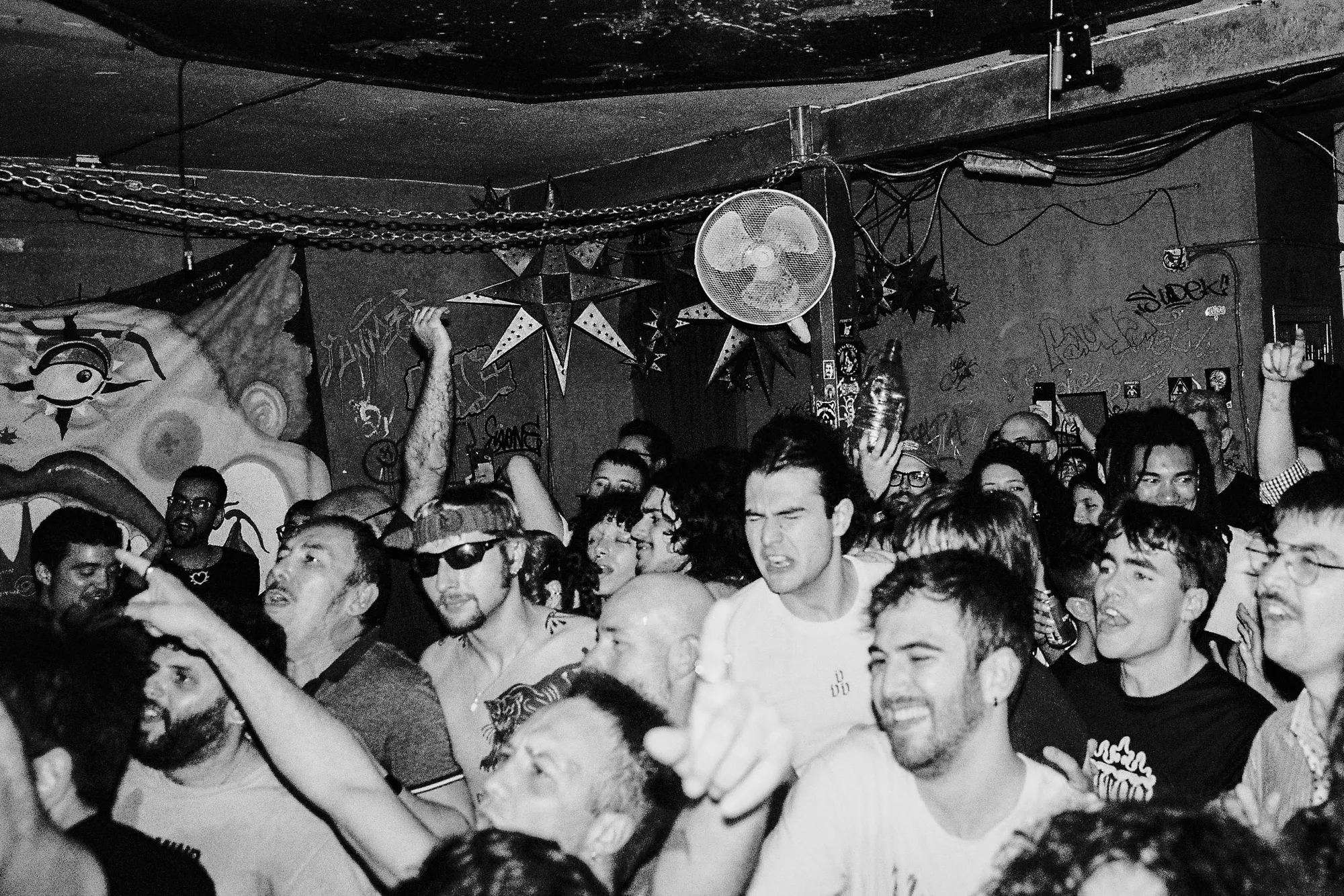 Feral — In Spain, still 31