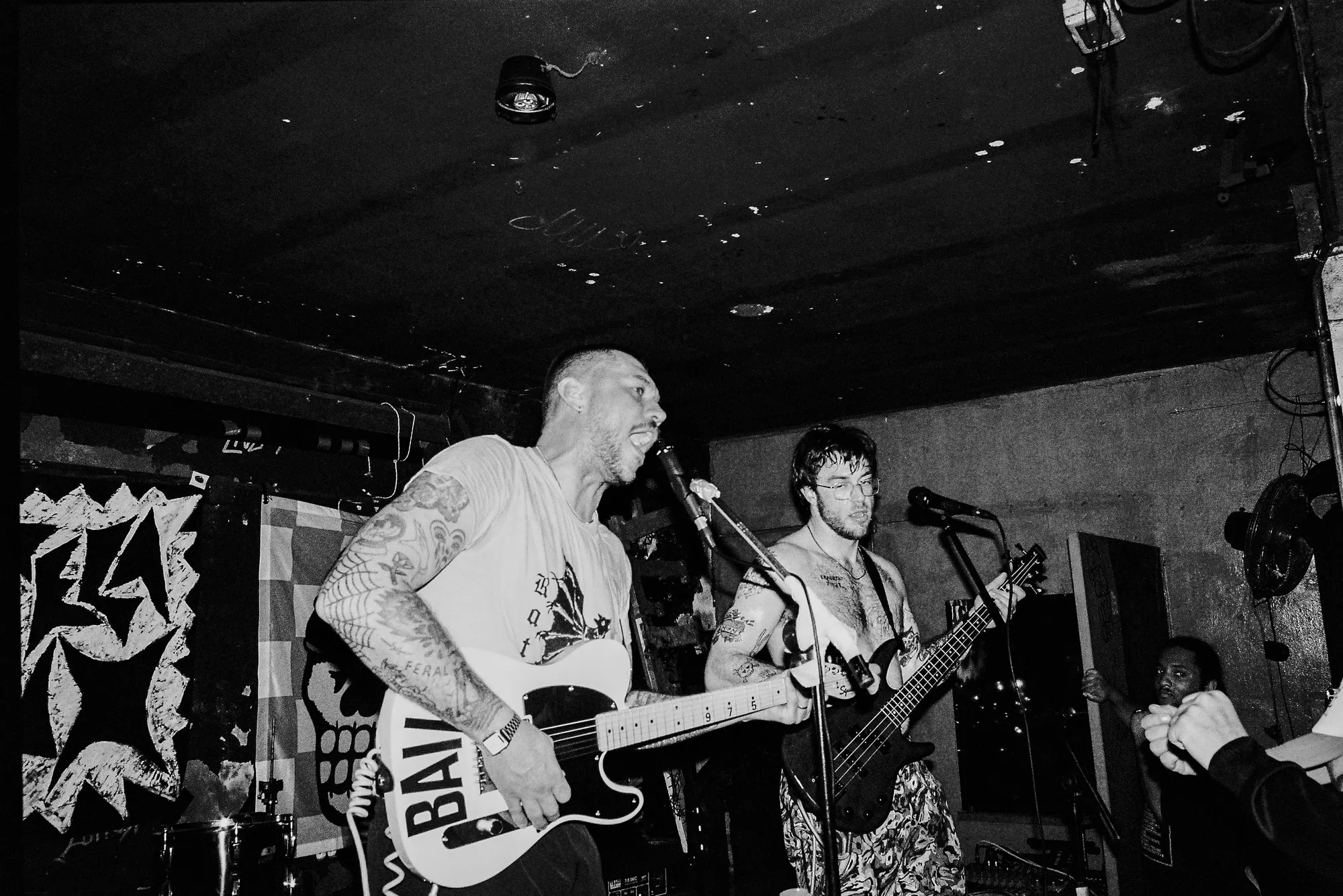 Feral — In Spain, still 32
