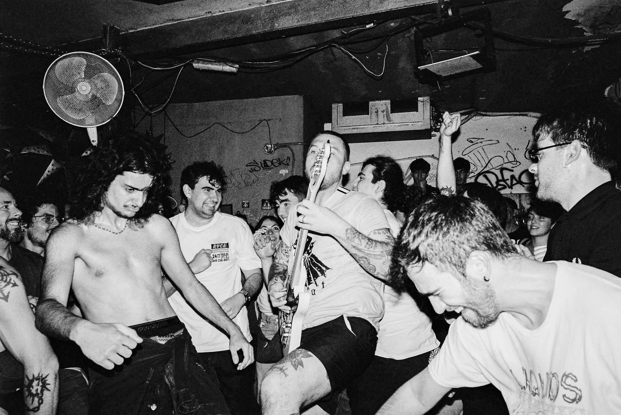 Feral — In Spain, still 40