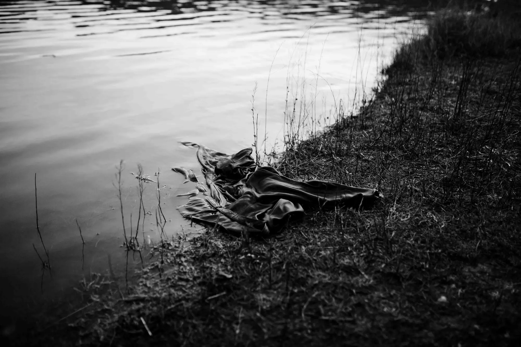 Analog — Photography Archive, still 3
