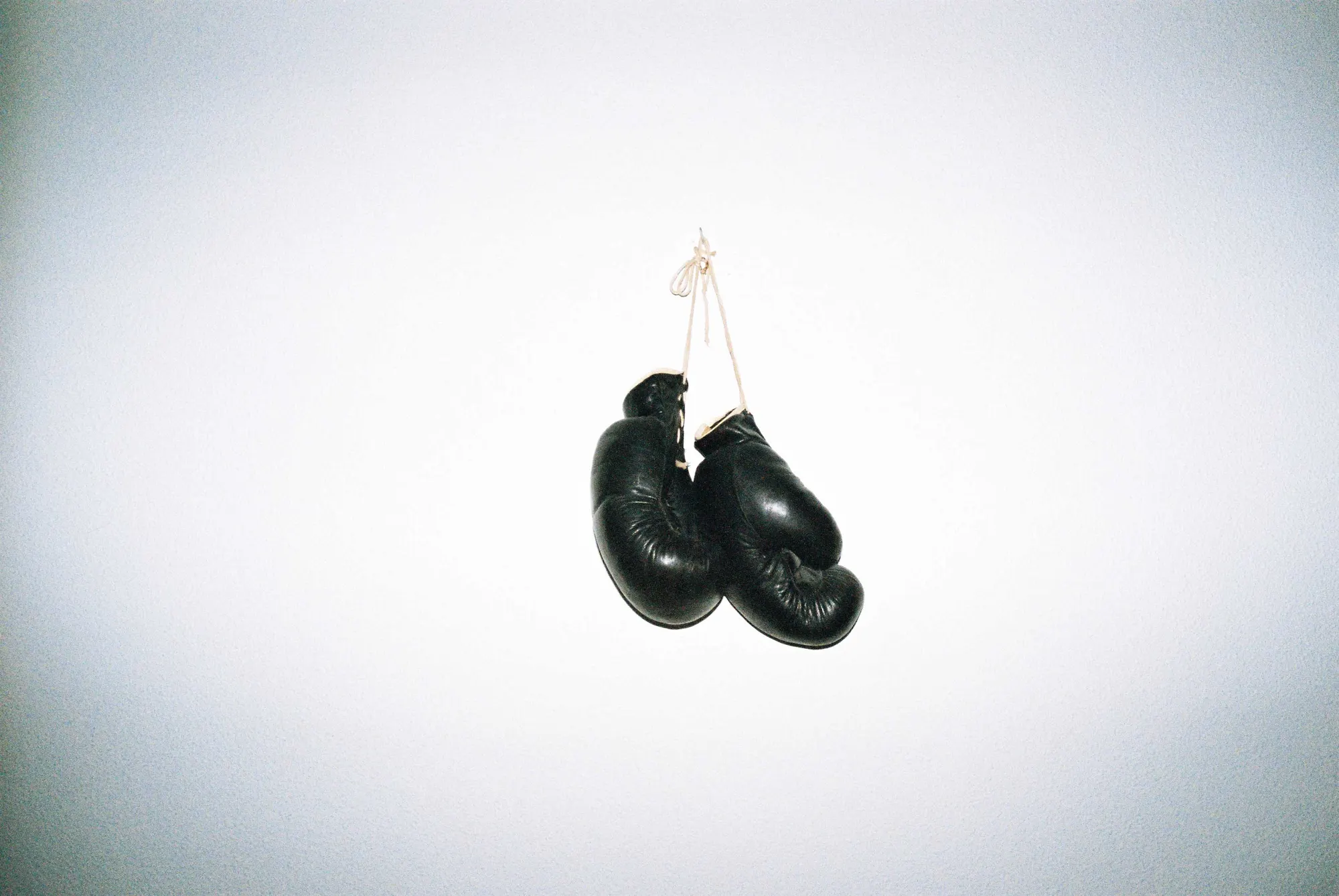 Analog — Photography Archive, still 22