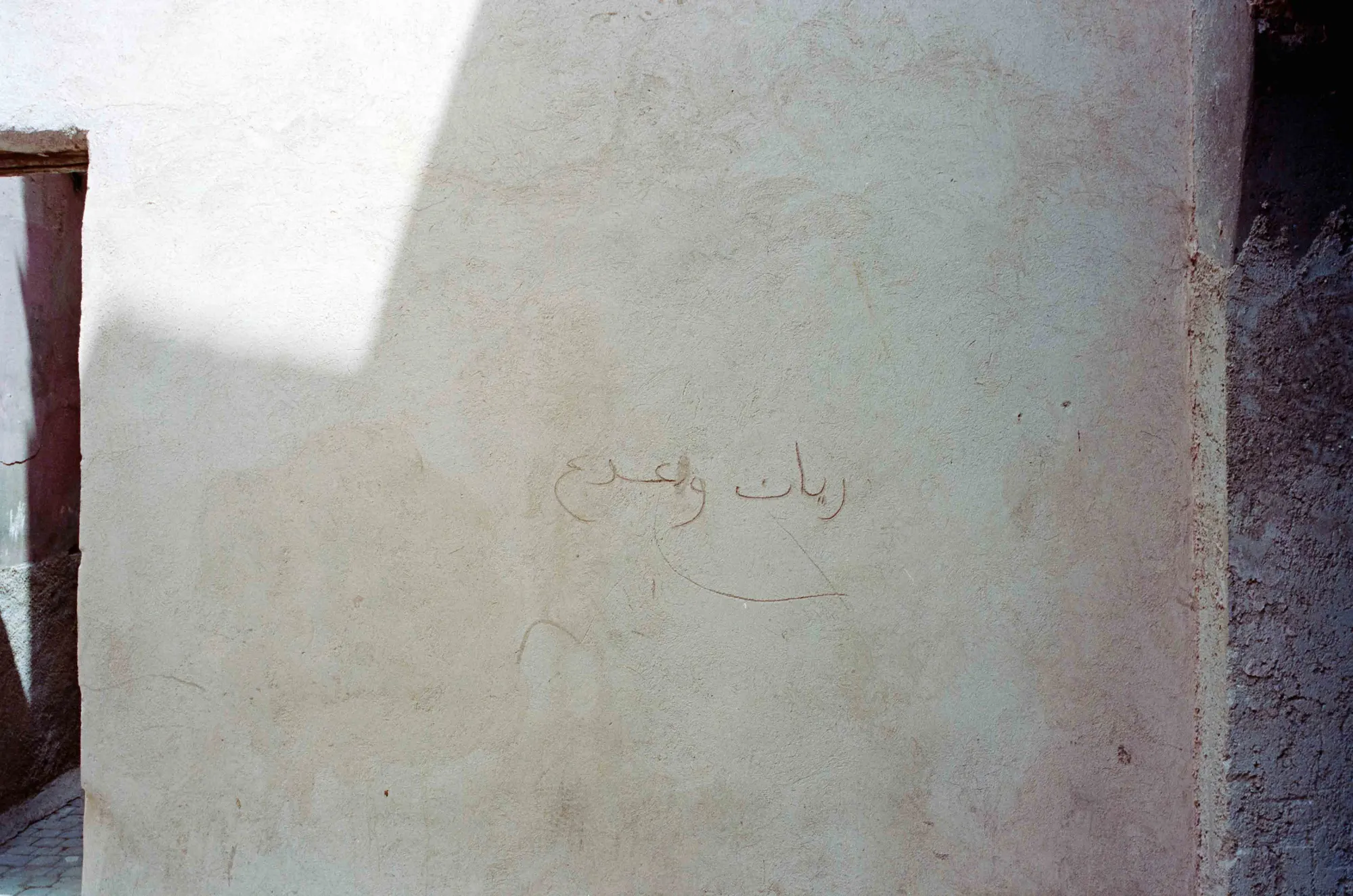 Analog — Photography Archive, still 23