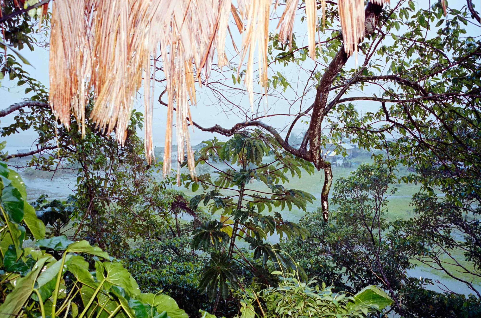 Analog — Photography Archive, still 25
