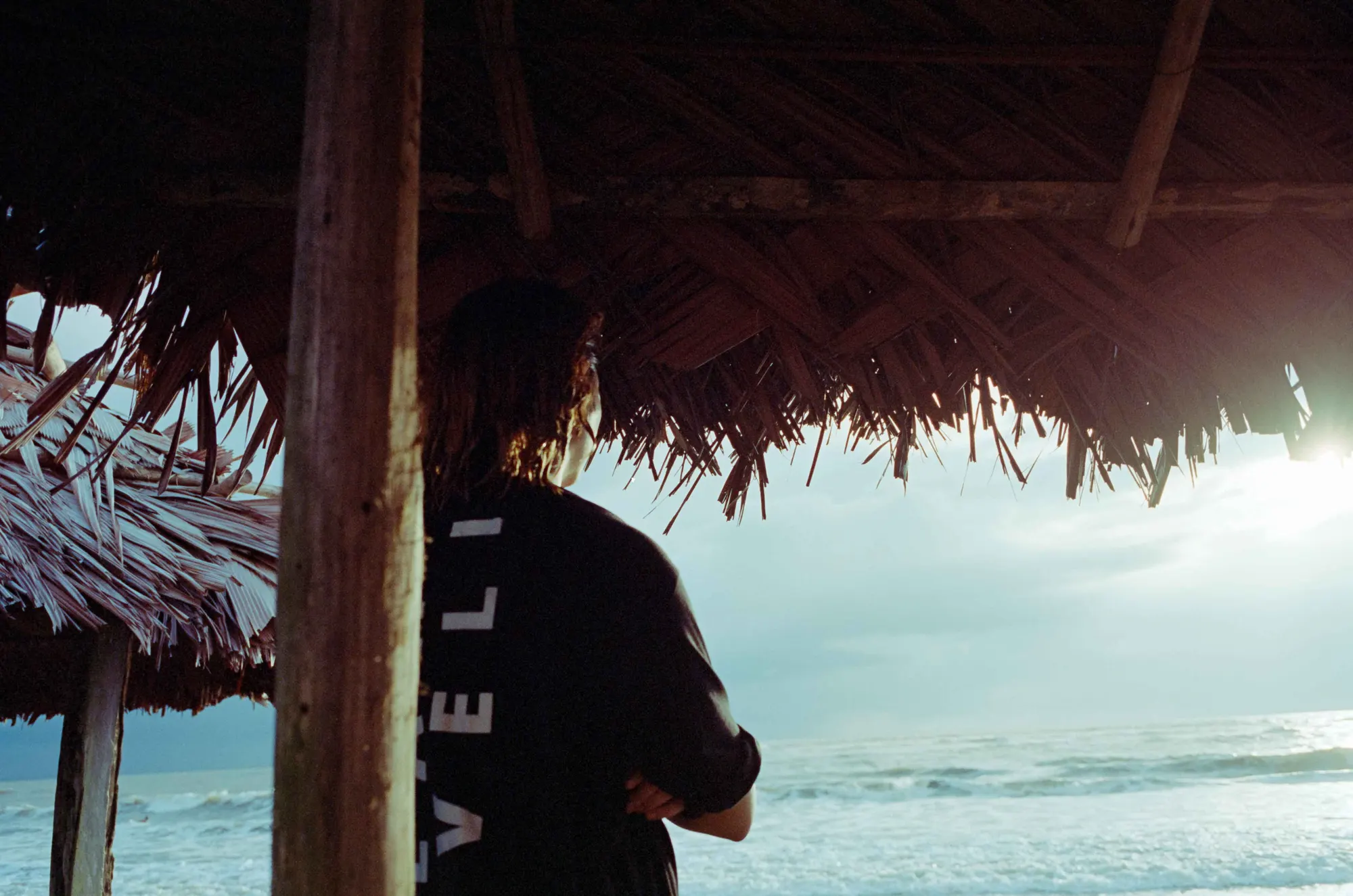 Analog — Photography Archive, still 26