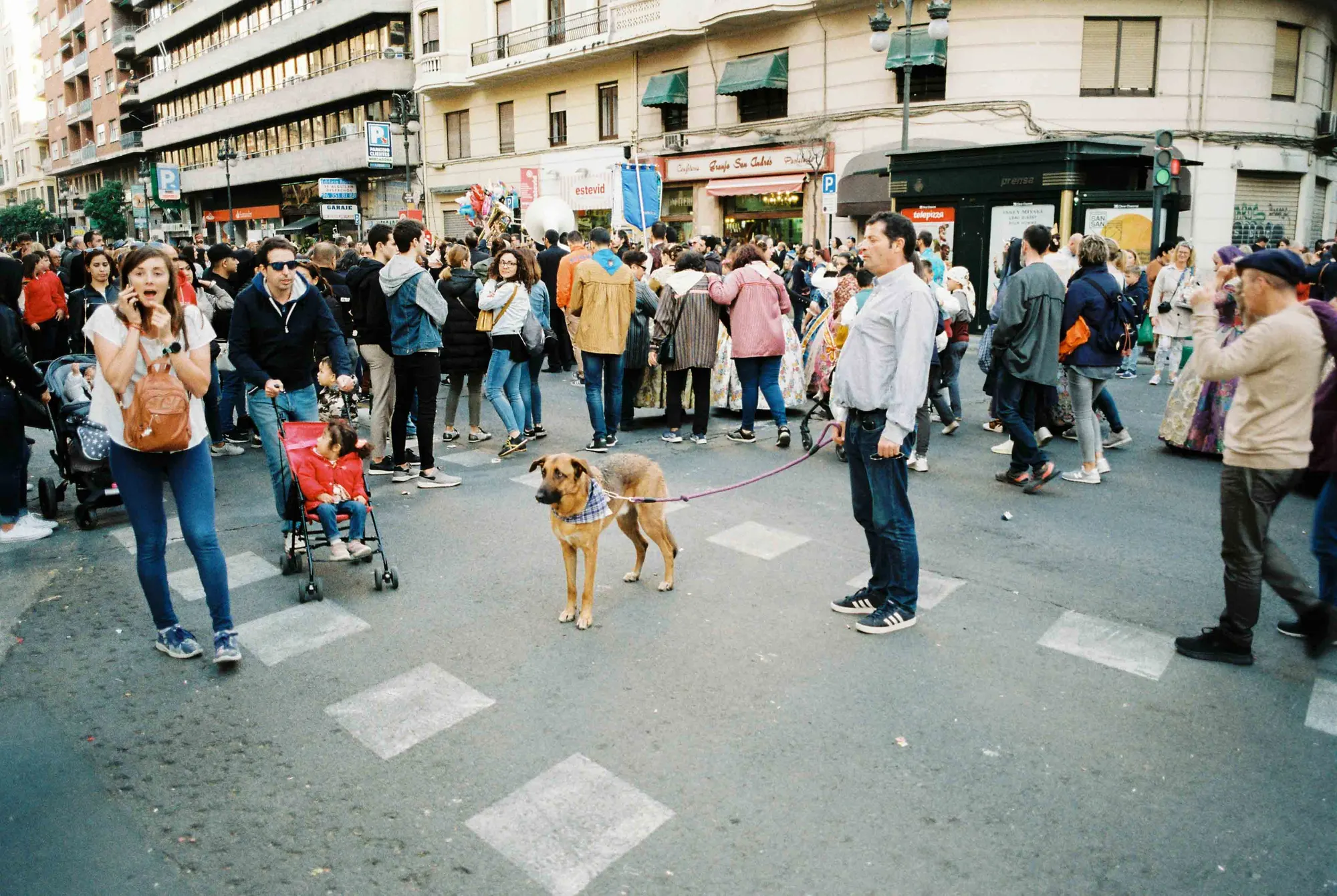 Analog — Photography Archive, still 53