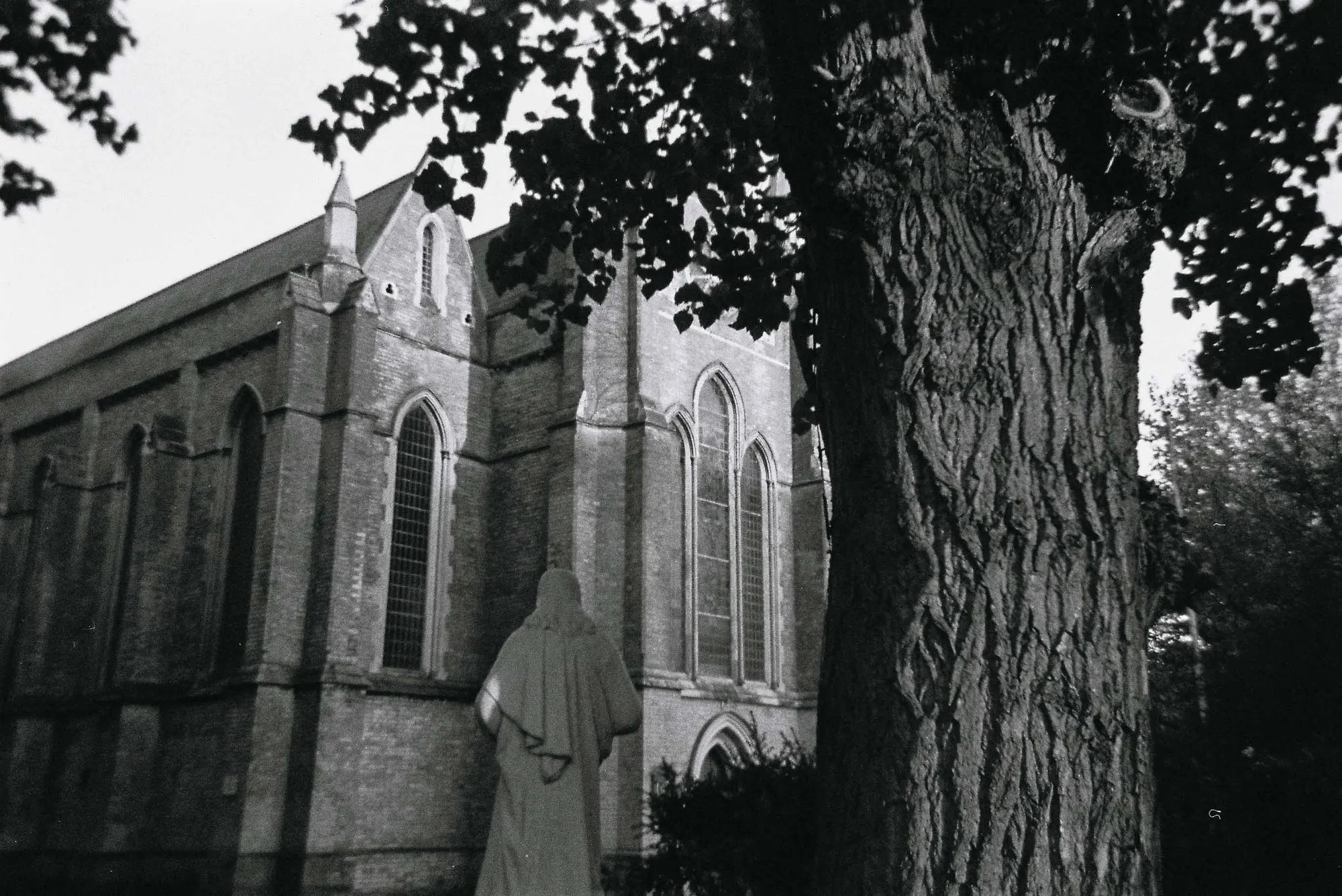 Analog — Photography Archive, still 60
