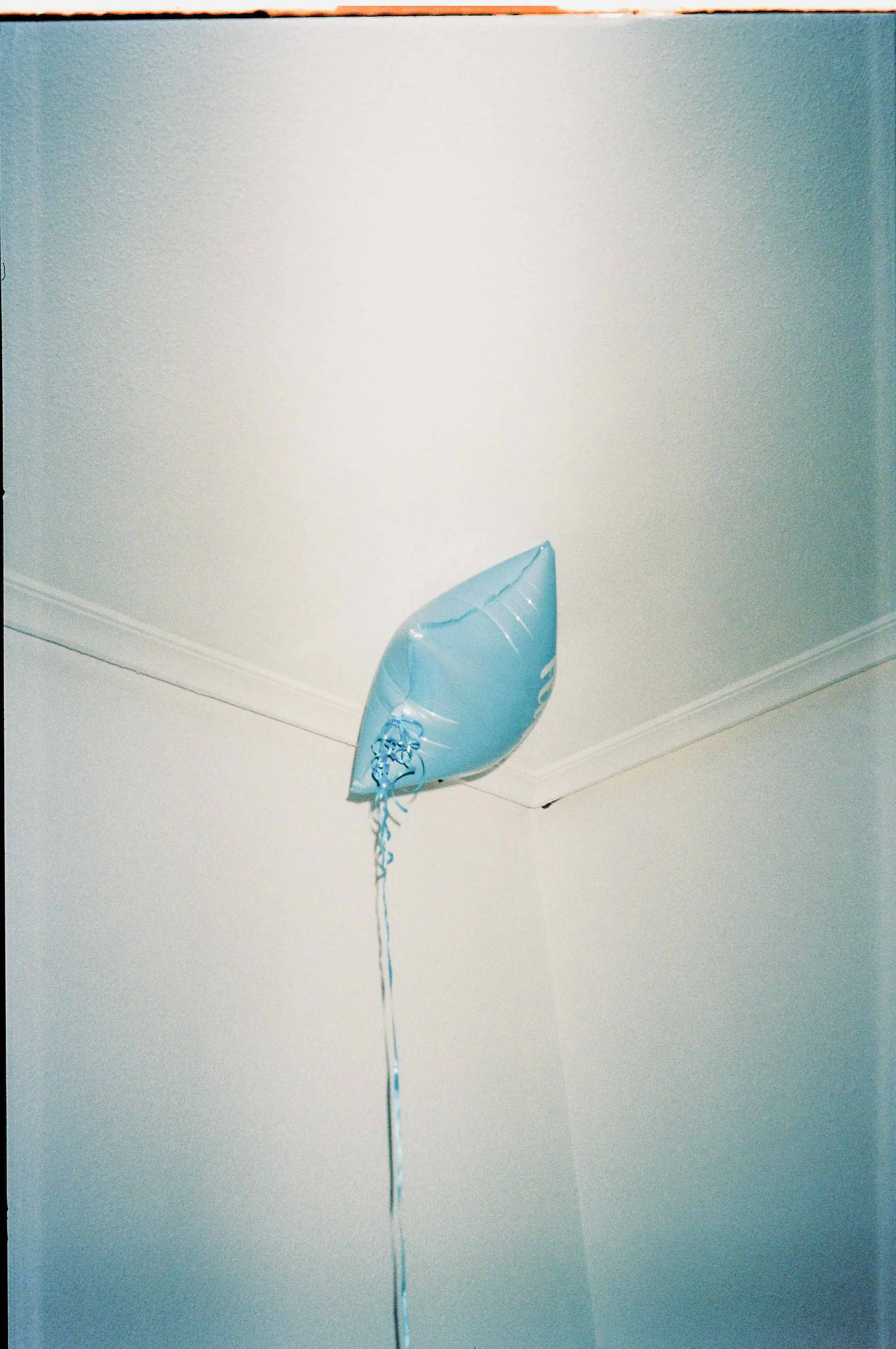 Analog — Photography Archive, still 64