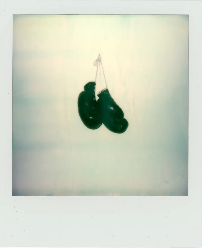 Personal — Polaroids, still 2