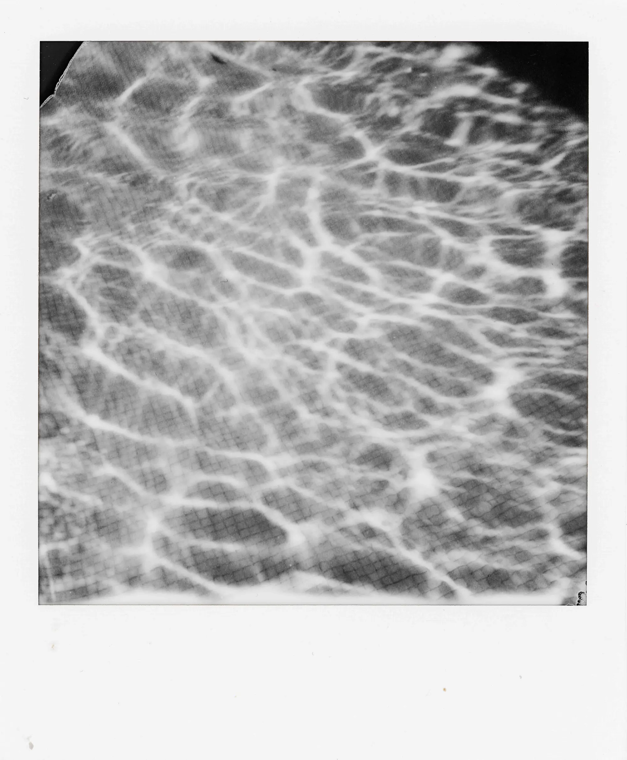 Personal — Polaroids, still 15